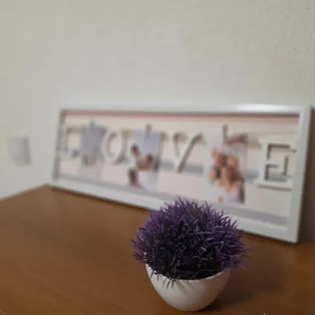 Knezevic Apartment