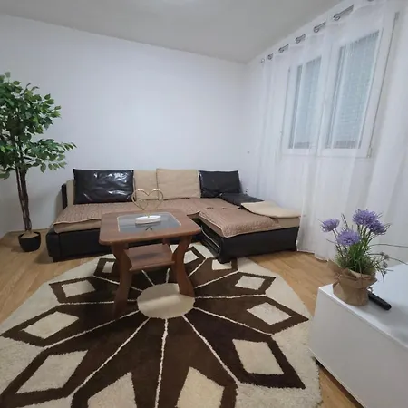 Knezevic * Podgorica