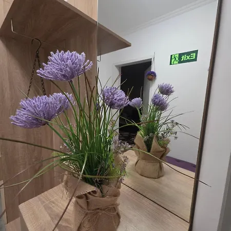 Apartment Knezevic Podgorica