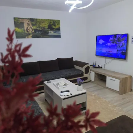 Knezevic Apartment Podgorica