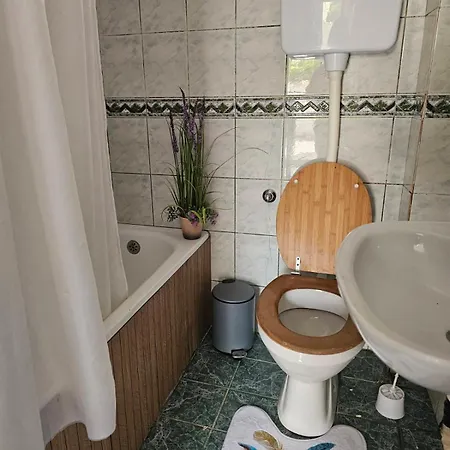 Knezevic Apartment