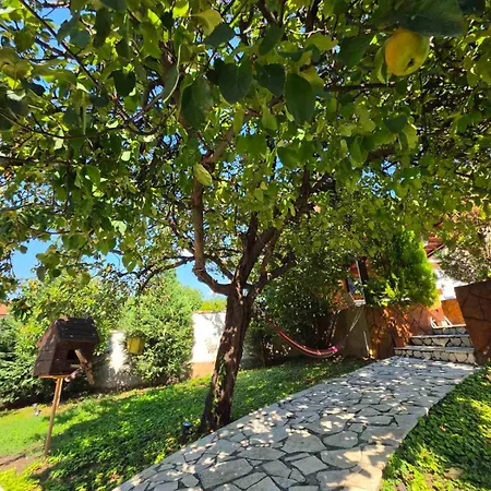 Apartment Knezevic Podgorica